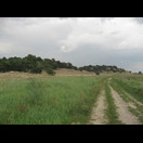 Binnendünen bei Klein Schmölen